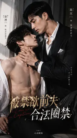 《被禁欲前夫合法圈禁》封面