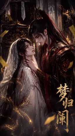 《梦归阑》封面